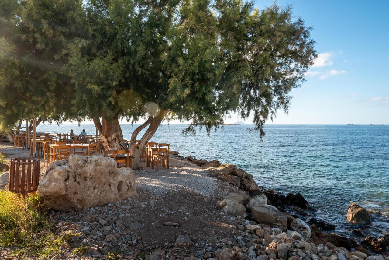 Alexandros Luxury House Villa Phalasarna Eksteriør billede